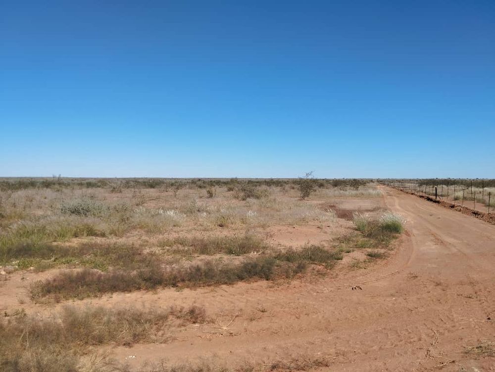 overview of farm land