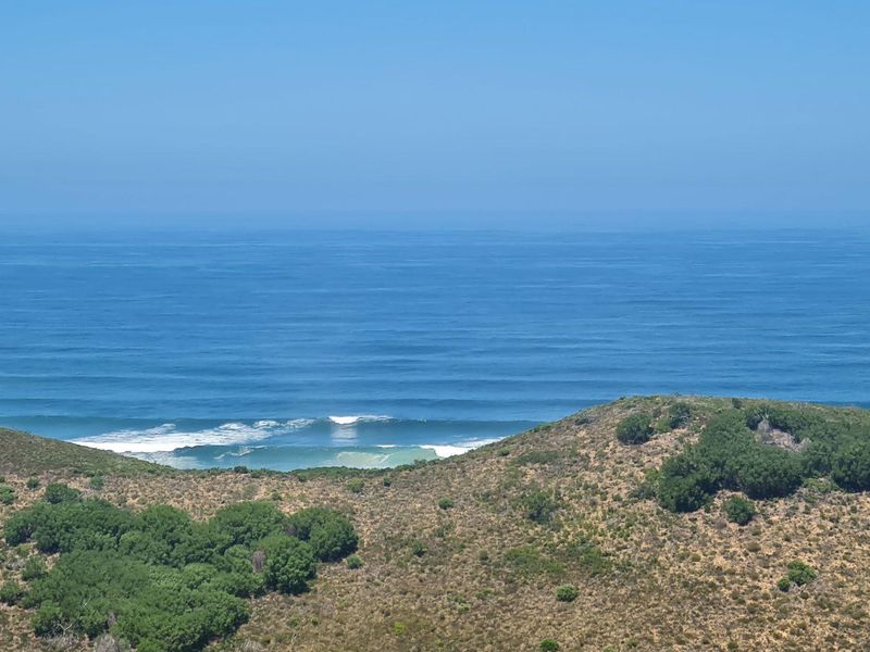 Natures dream - Photo 8