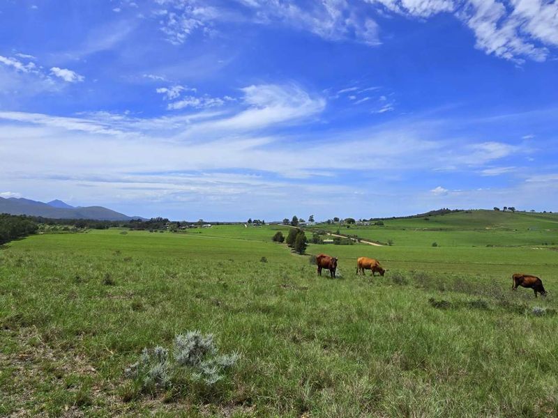 Spectacular Agricultural Opportunity in Ruiterbosch - Photo 2