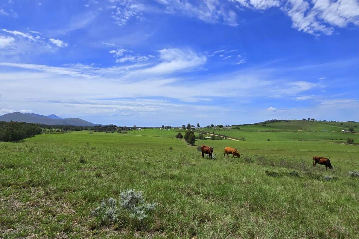Spectacular Agricultural Opportunity in Ruiterbosch - Photo 2