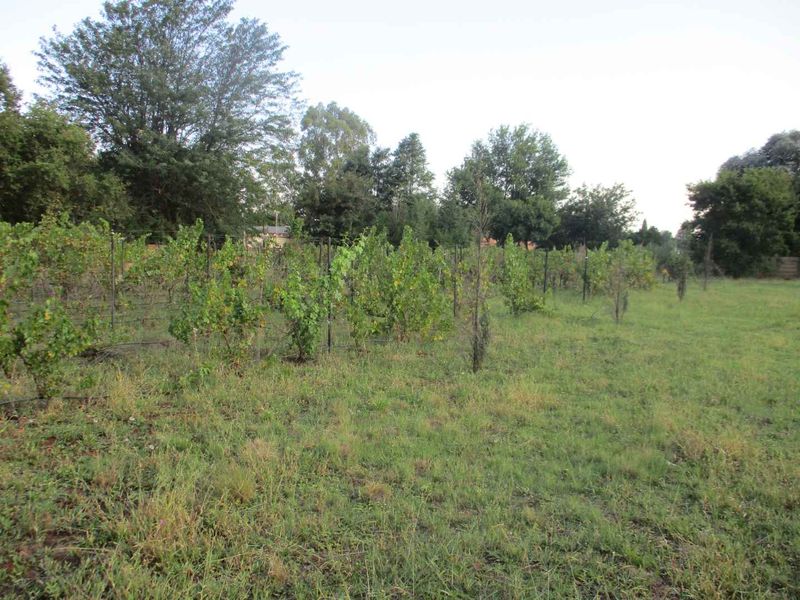PRIME LAND AND LOCATION ! - Photo 4