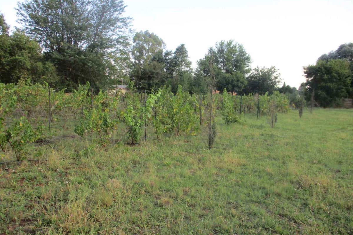 PRIME LAND AND LOCATION ! - Photo 4