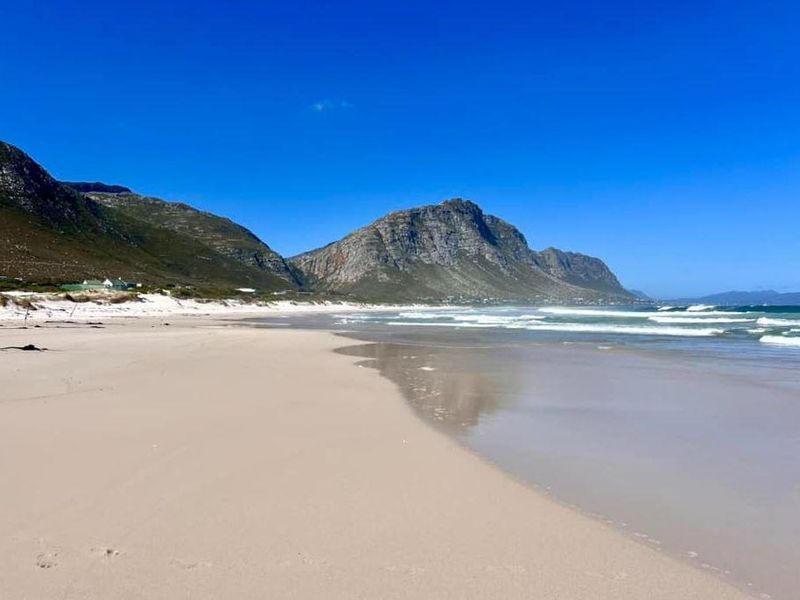 Rare Opportunity to secure Prime Land! - Photo 5