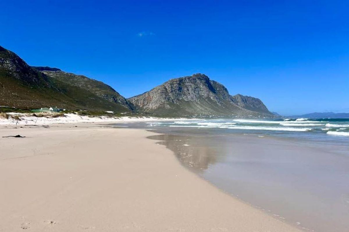 Rare Opportunity to secure Prime Land! - Photo 5