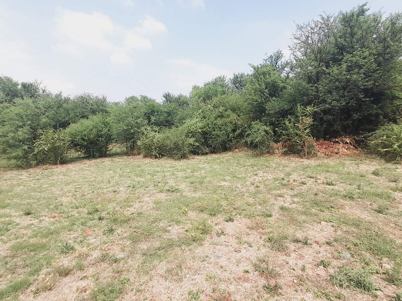 "Ultimate Privacy: Cul-de-Sac Gem in Birdwood Estate!" - Photo 10