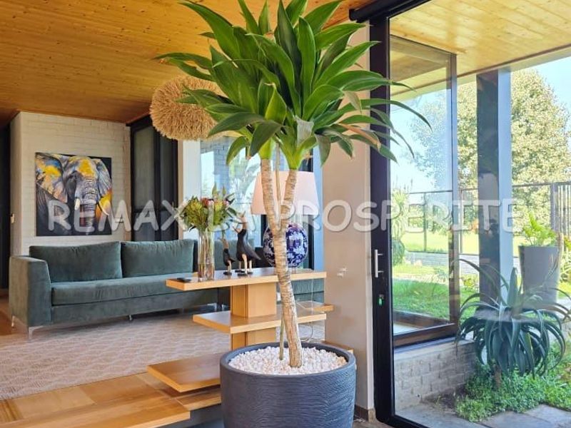 Modern living area featuring a warm timber ceiling, natural stone flooring, and expansive sliding glass doors that provide seamless indoor-outdoor flow.