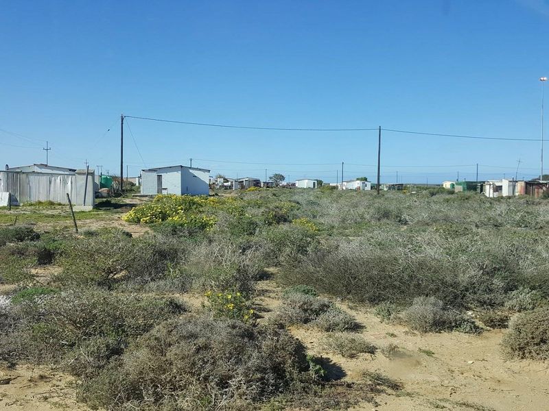 A view of a vacant residential plot featuring natural vegetation, utility poles, and overhead power lines in a rural setting.