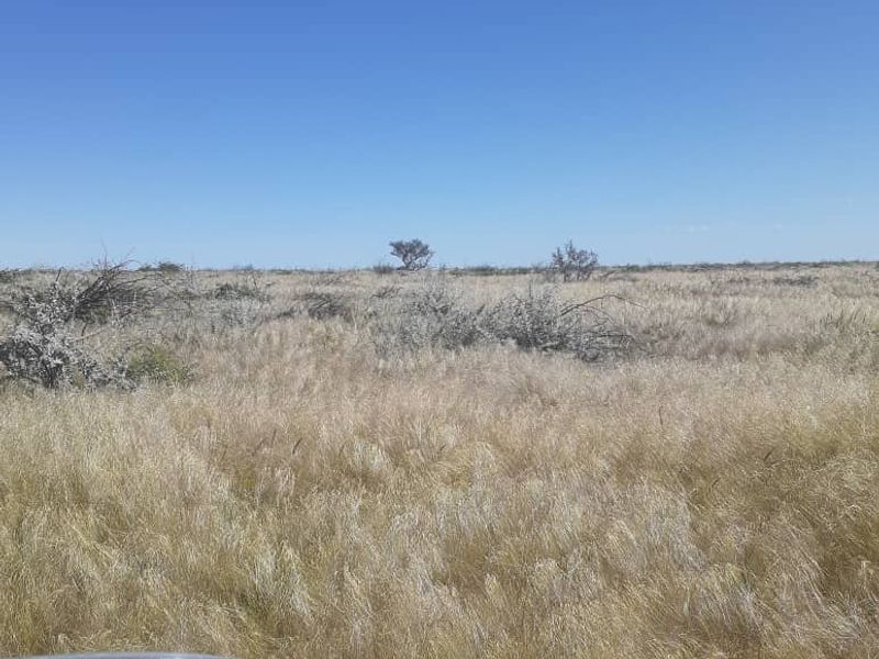 FOR SALE - CATTLE/SHEEP/AGRICULTURAL FARM IN THE OMARURU AREA OF NAMIBIA - Photo 9