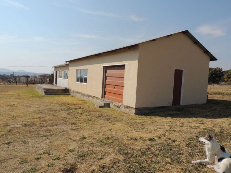 Rear view of a single-story house featuring a corrugated metal roof, garage access, and concrete steps leading to the entrance.