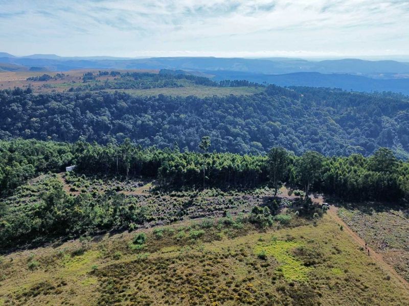33-Hectare Vacant Land with Forest and Panoramic Views in the Midlands, Howick Rural - Photo 9
