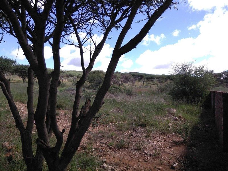 Scenic Vacant Land - Photo 8