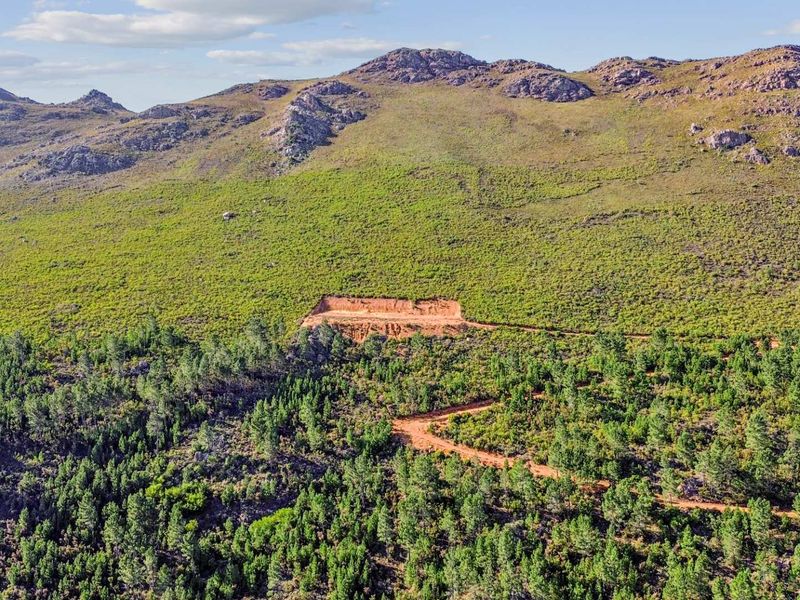 Farm with Opportunities in Drakenstein Rural - Photo 8