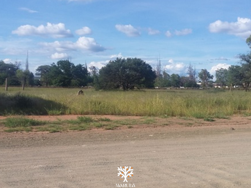 PRIME INVESTMENT OPPORTUNITY IN GOBABIS - Photo 5