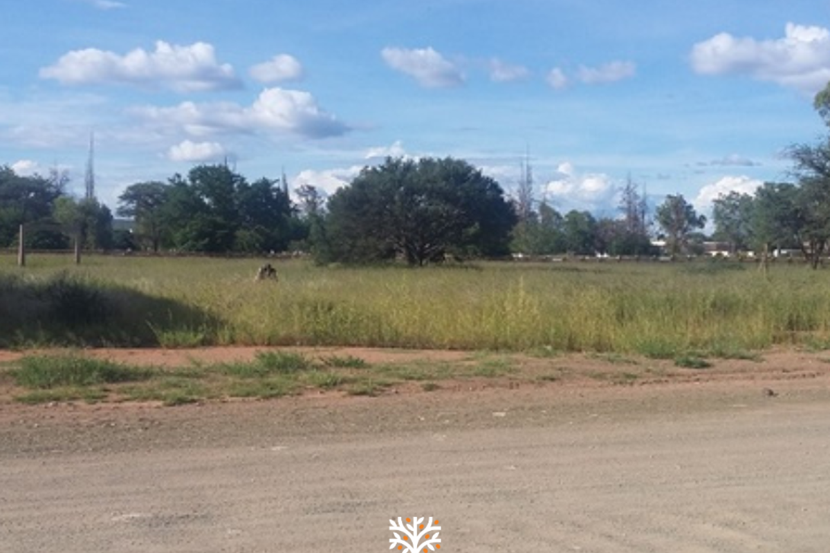 PRIME INVESTMENT OPPORTUNITY IN GOBABIS - Photo 5