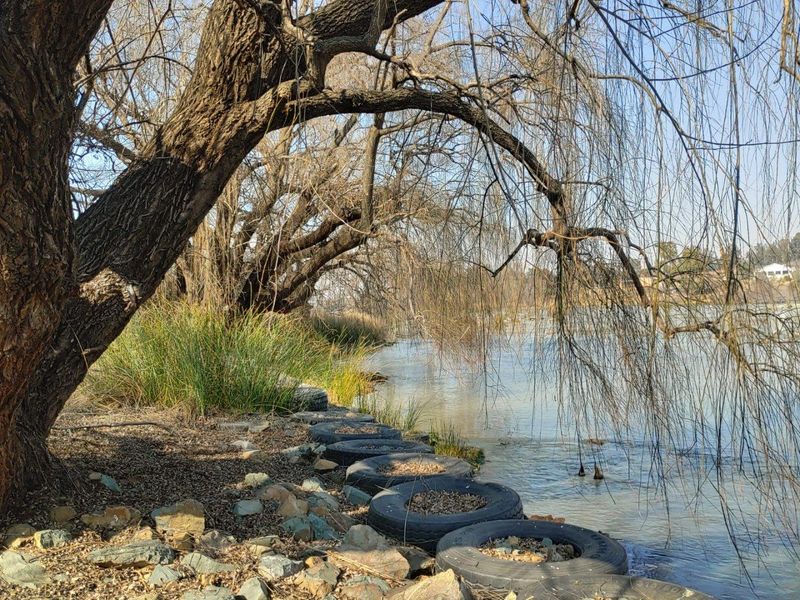 A scenic view of the riverbank featuring mature willow trees and a natural landscape, highlighting the property's waterfront access.
