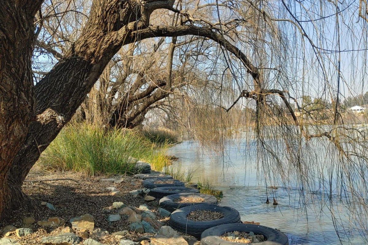 A scenic view of the riverbank featuring mature willow trees and a natural landscape, highlighting the property's waterfront access.