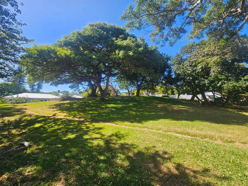 Build Your Tropical Masterpiece in St Lucia 🌿 - Photo 3