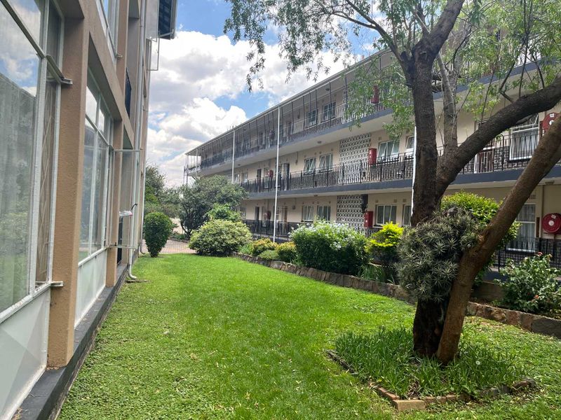 SPRING IS IN THE AIR - CHRISTMAS IS AROUND THE CORNER - Photo 2