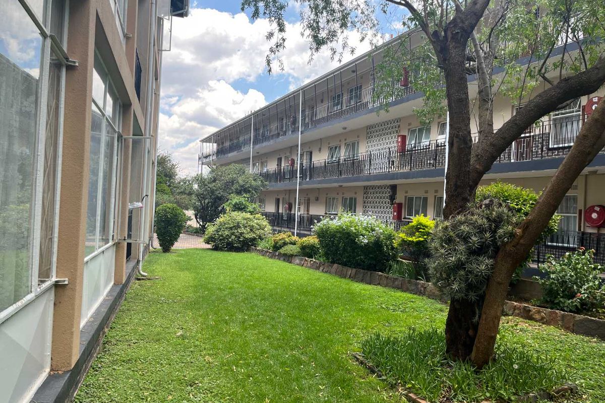 SPRING IS IN THE AIR - CHRISTMAS IS AROUND THE CORNER - Photo 2