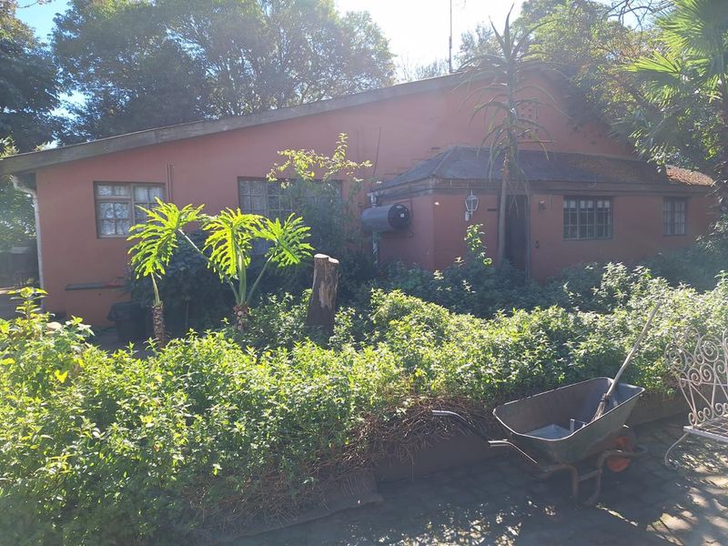 REDUCED! TRANQUIL LIVING - ADDO - Photo 9