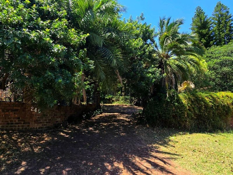 Orion's Belt - At Home Among the Stars - Photo 8