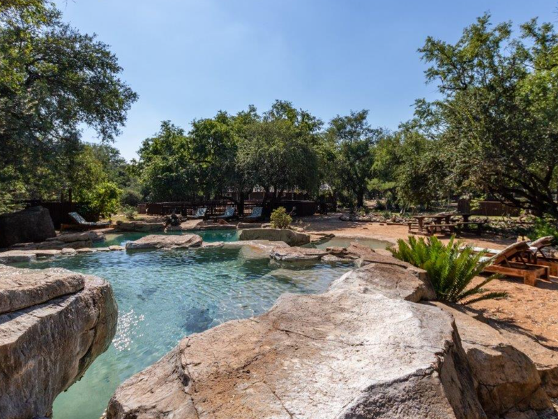 Your gateway to Africa's untamed beauty and endless possibilities. - Photo 2