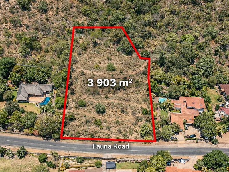 Prime 3 903m2 Development Opportunity – Fauna Road, Florauna - Photo 5