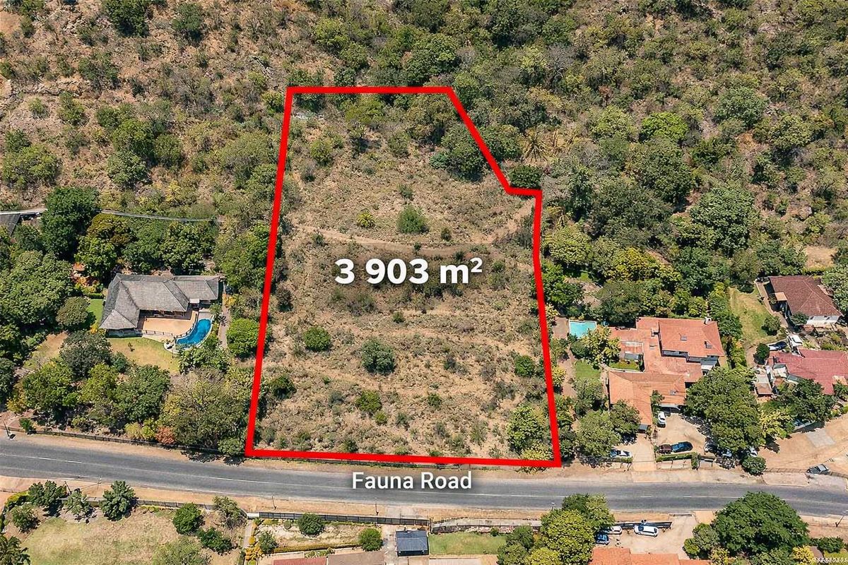 Prime 3 903m2 Development Opportunity – Fauna Road, Florauna - Photo 5