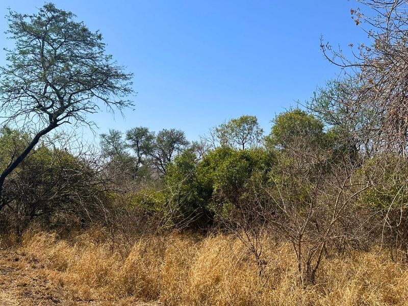 Vacant Stand with Mountain views - Photo 8