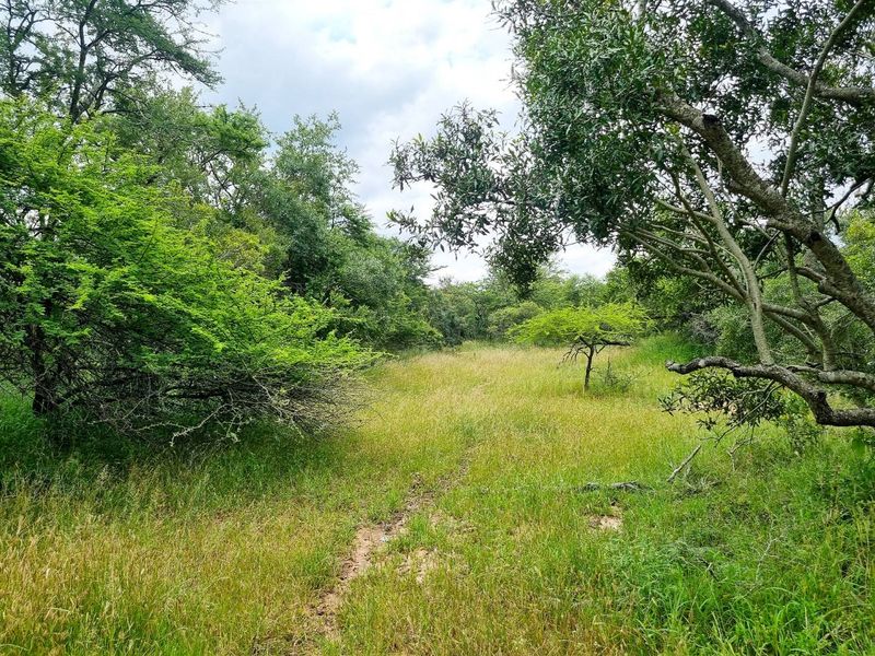 Riverfront stand - Photo 5