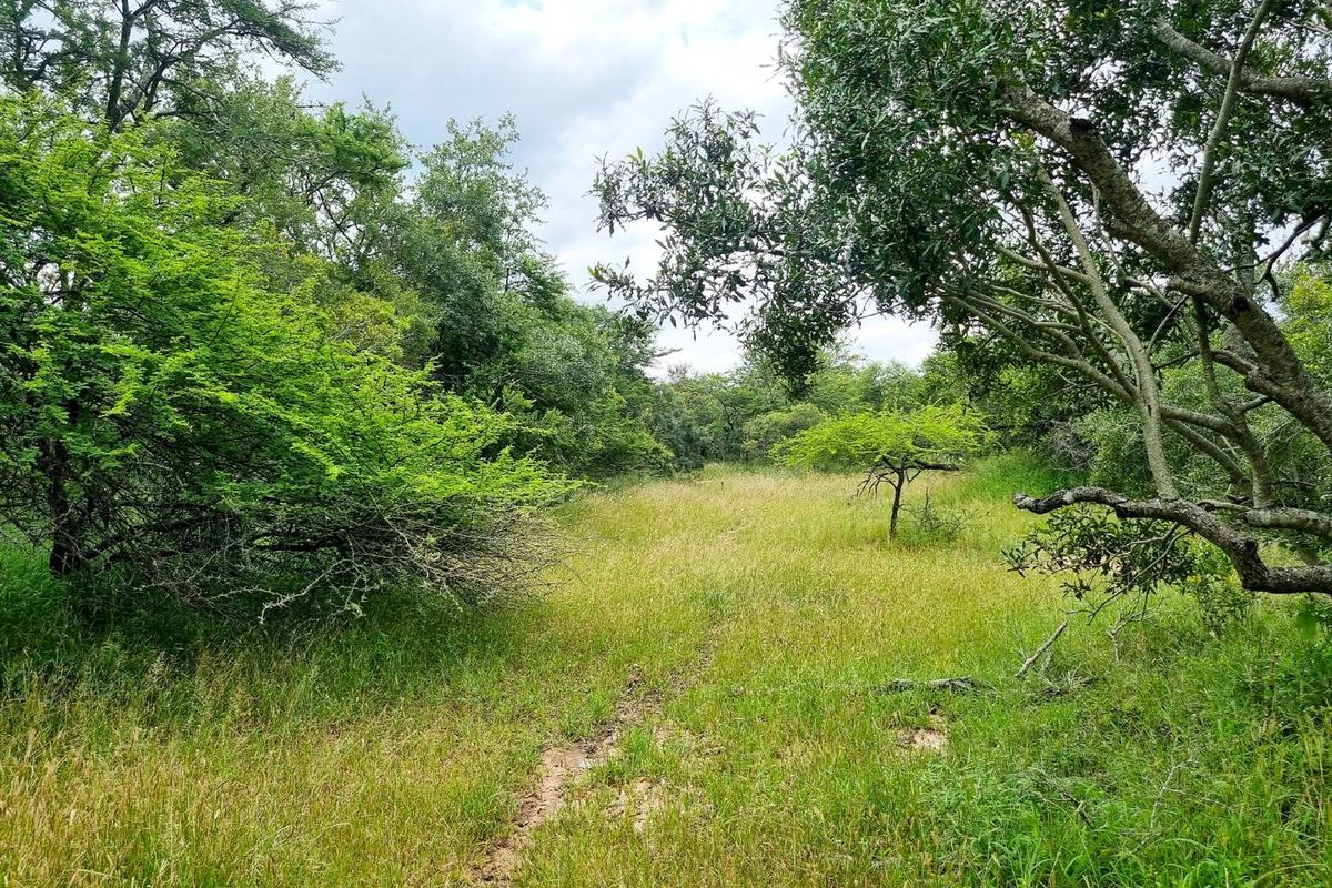 Riverfront stand - Photo 5