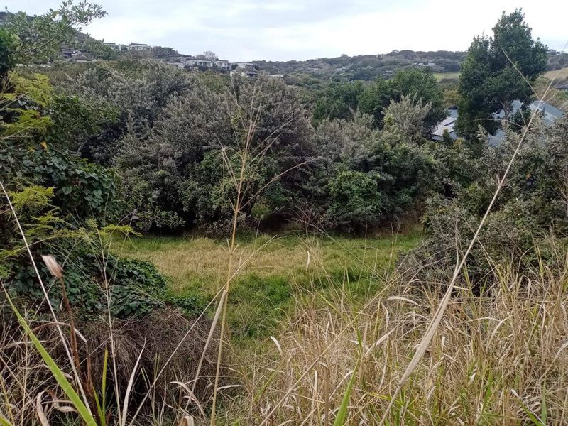Vacant Land with Approved Architectural Masterpiece - Photo 5