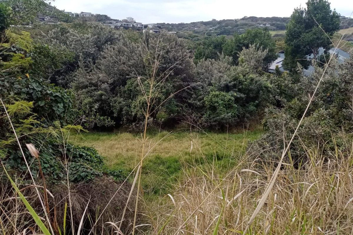 A view of a sloped, undeveloped residential plot featuring dense natural vegetation and surrounding hillside landscape.