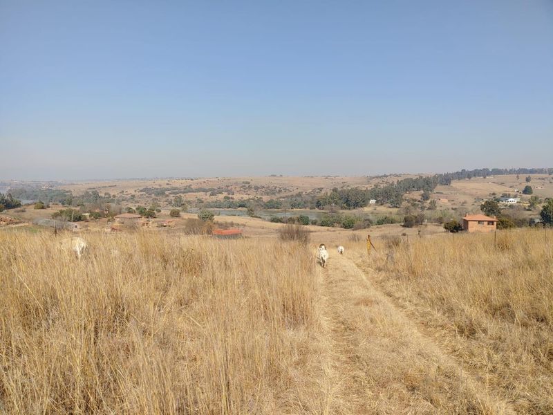 A wide-angle view of open agricultural land featuring dry grass, a dirt track, and distant rural landscape.