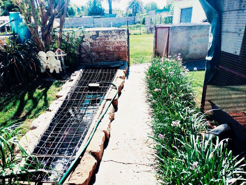 HOUSE IN EXCELLENT CONDITION. BEAUTIFUL GARDEN. BOREHOLE. NO REPAIRS NEEDED. - Photo 5