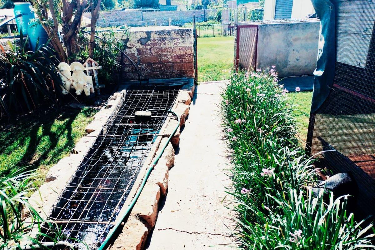 HOUSE IN EXCELLENT CONDITION. BEAUTIFUL GARDEN. BOREHOLE. NO REPAIRS NEEDED. - Photo 5