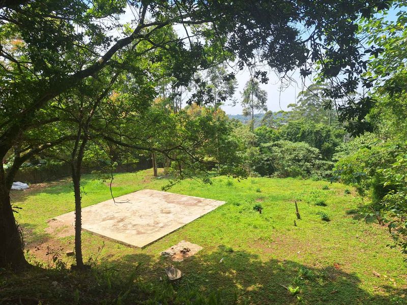 A Rare Sanctuary of Space, Security & Scenic Beauty - Photo 5