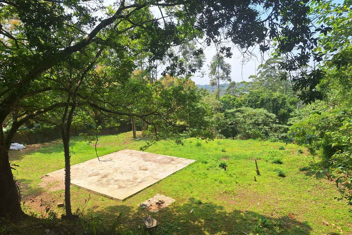 A Rare Sanctuary of Space, Security & Scenic Beauty - Photo 5