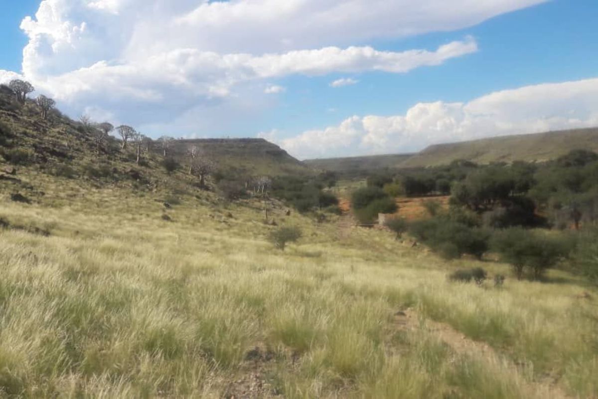 A RARE FIND IN SOUTHERN NAMIBIA – 3 WELL-DEVELOP FARMS SOLD TOGETHER - Photo 4