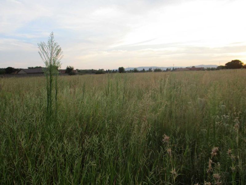 Calling all Developers - Photo 7