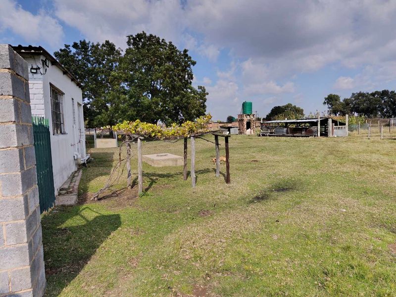 Charming Agricultural Holding for Sale – Hallgate, Nigel - Photo 6