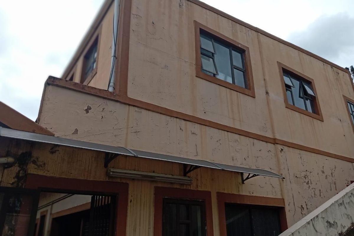 Rear exterior view of a two-story building showing significant paint deterioration and weathered masonry surfaces.
