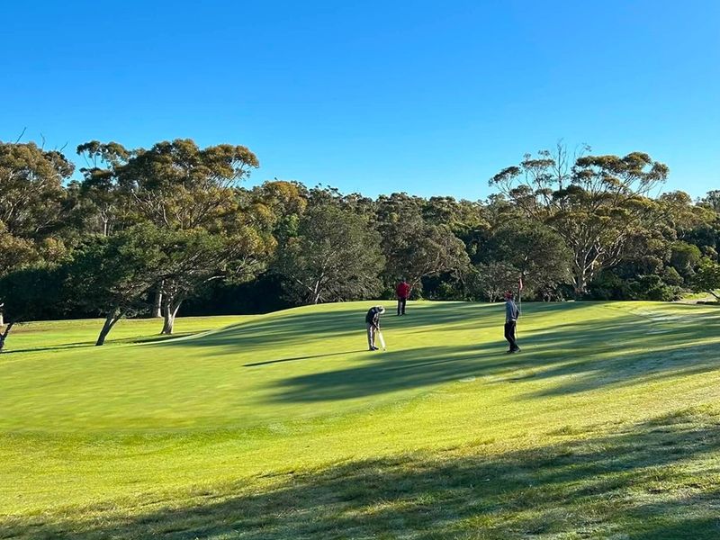 A scenic view of a well-maintained golf course fairway surrounded by mature trees under a clear blue sky.