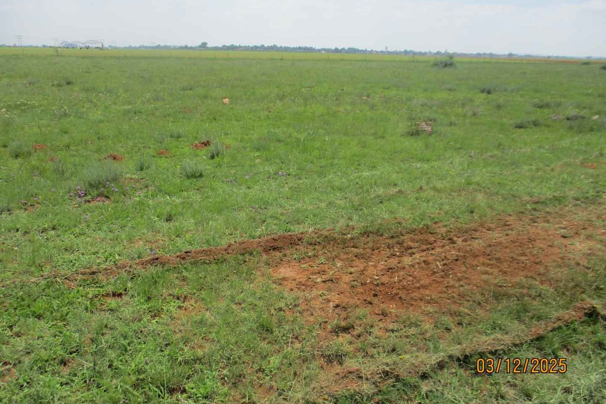 Enjoy the tranquility of Henley - Photo 5