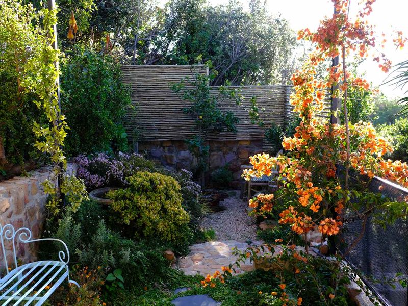 North Facing Fully Furnished Studio Apartment on Fish Hoek Mountain - Photo 3