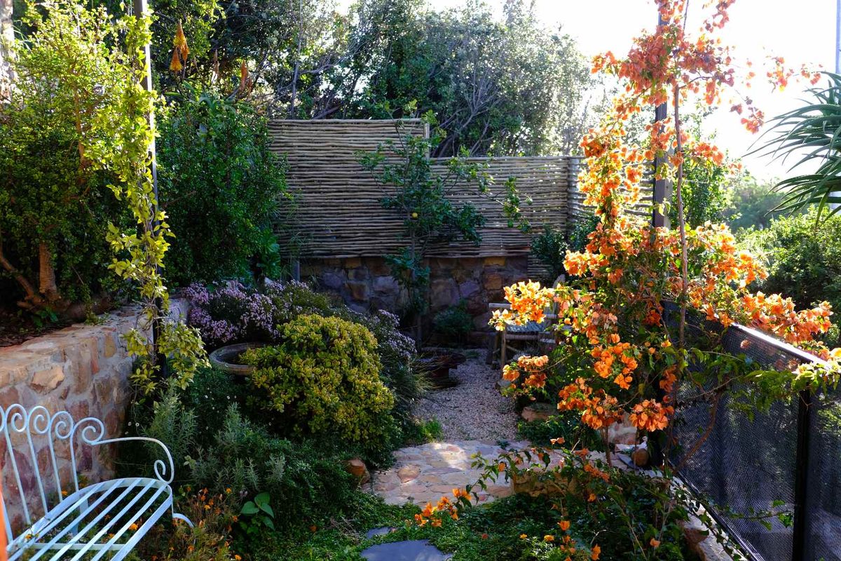 North Facing Fully Furnished Studio Apartment on Fish Hoek Mountain - Photo 3
