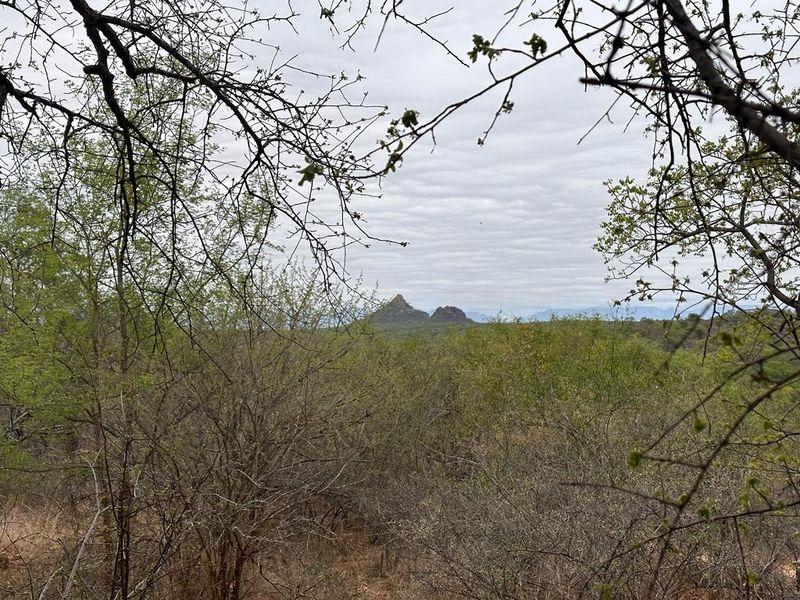 Discover Eco-Living at Elephant Rock Eco Estate – Vacant Land Now Available - Photo 4