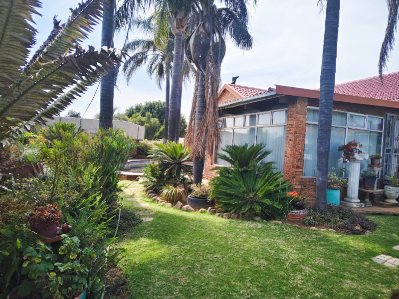 A view of the rear garden featuring a brick facade, tiled roof, established palm trees, and a swimming pool area.