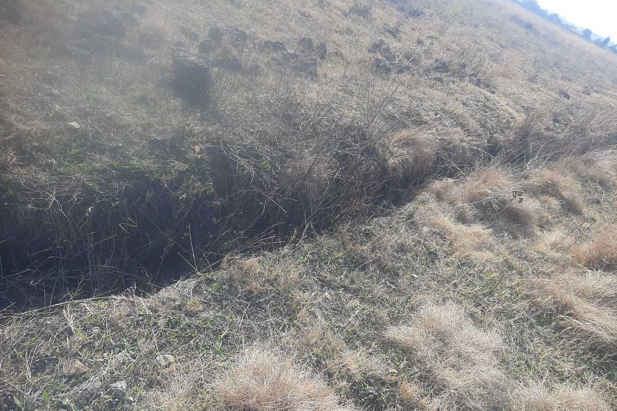 An undeveloped area of the small holding featuring dry, unmaintained vegetation and a natural drainage ditch.
