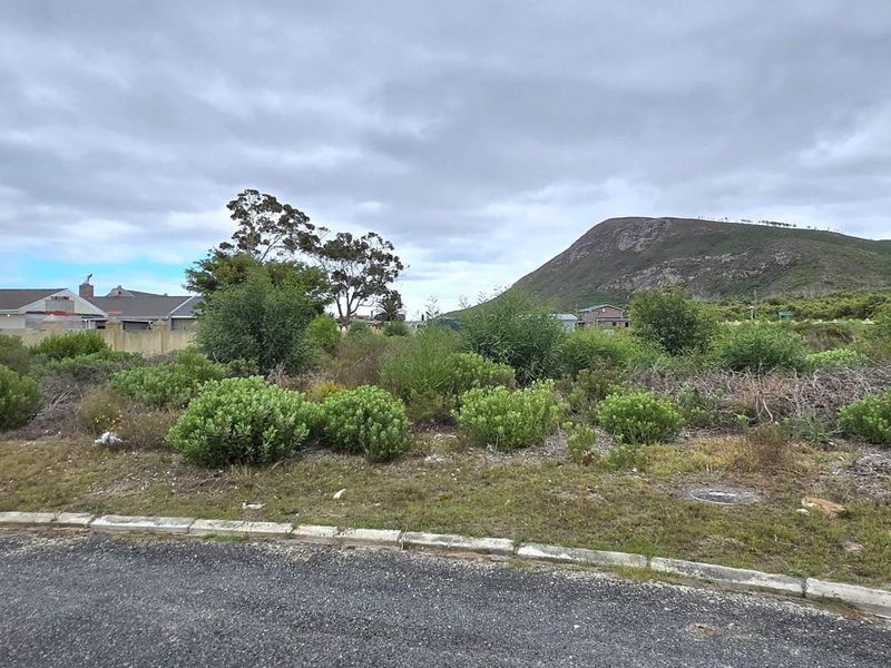 Level 924m2 Land in Peaceful Franskraal – Perfect Investment Opportunity. - Photo 6